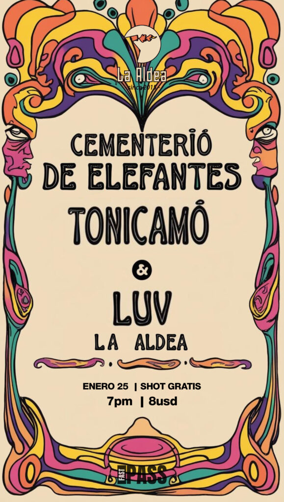 Concierto La Aldea OK